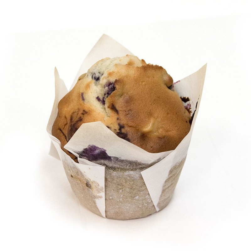 Blueberry and Apple Texas Muffin